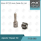 7135-583 Комплект для ремонта инжектора Delphi Для R00301D SSANGYONG D20DTF Nozzle L341PRD