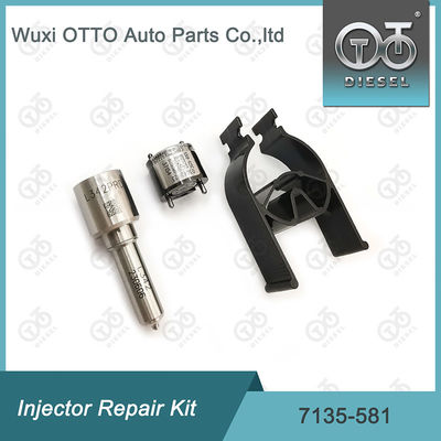 Комплект ремонта инжектора  7135-581 для R00101D PSA FORD DW10C