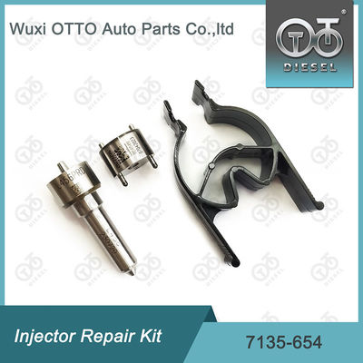 Комплект по ремонту  Injector 7135-654 для R00501Z с соплами L456PRD