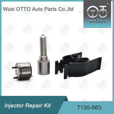 7135-663 Комплект по ремонту Delphi Injector Комплект для резки и клапана Комплект для резки и клапана