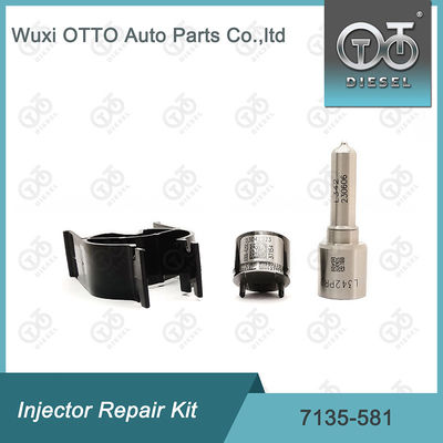 Комплект ремонта инжектора  7135-581 для R00101D PSA FORD DW10C