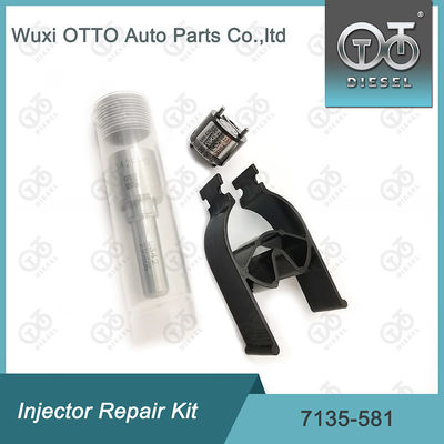 Комплект ремонта инжектора  7135-581 для R00101D PSA FORD DW10C
