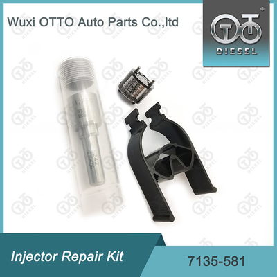 Комплект ремонта впрысков Delphi для R00101D PSA / FORD DW10C