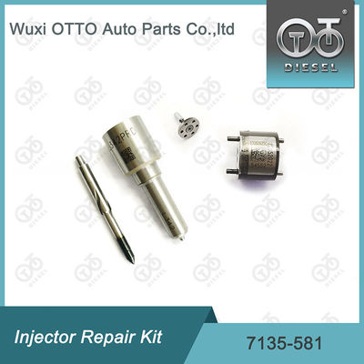 Комплект ремонта инжектора  7135-581 для R00101D PSA FORD DW10C