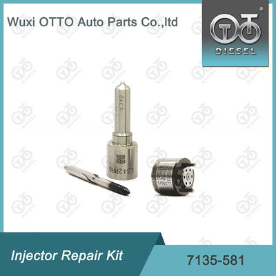 Комплект ремонта инжектора  7135-581 для R00101D PSA FORD DW10C