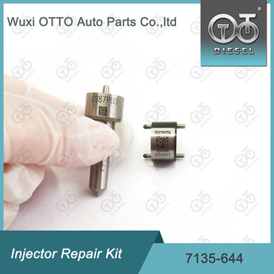 Комплект ремонта впрыска Delphi Nozzle-Valve Kit 7135-644 для инжектора 28232242 с впрыском L087PBD