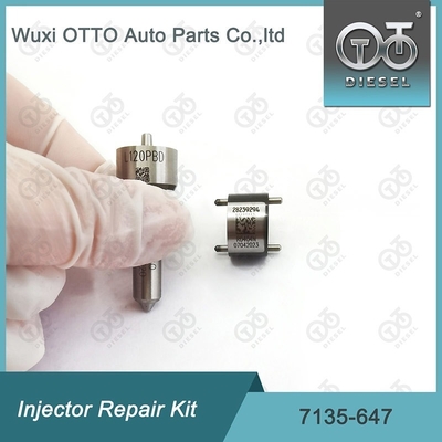 Комплект ремонта Delphi Injector 7135-647 для 28232248 с L120PBD сопла