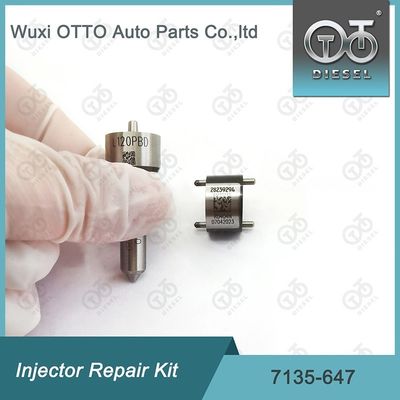 Комплект ремонта  Injector 7135-647 для 28232248 с L120PBD сопла
