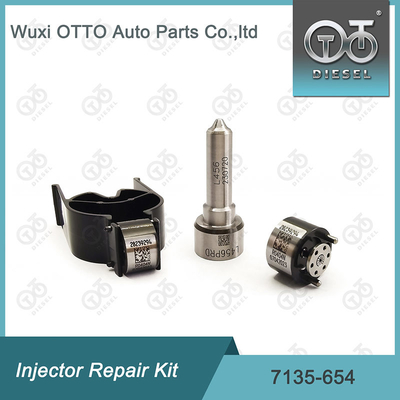 Комплект по ремонту Delphi Injector 7135-654 для R00501Z с соплами L456PRD