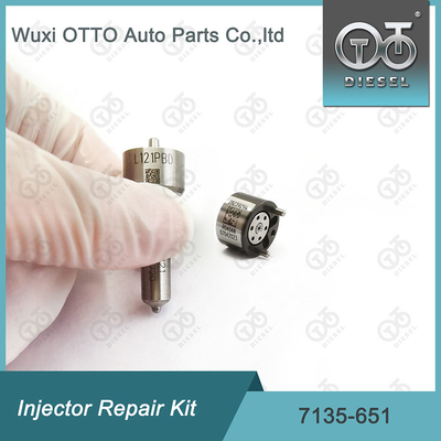 Набор для ремонта Delphi Injector Kit 7135-651 для R02201Z с насадкой L121PBD