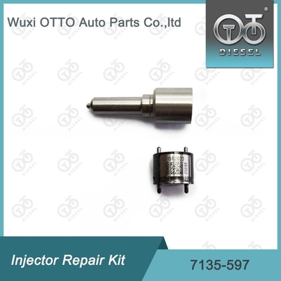 7135-597 Комплект по ремонту Delphi Injector Комплект для резинки и клапана