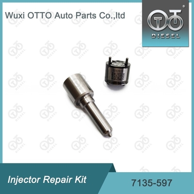 7135-597 Комплект по ремонту Delphi Injector Комплект для резинки и клапана