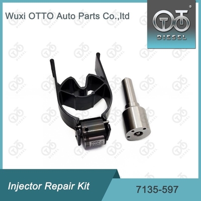 7135-597 Комплект по ремонту Delphi Injector Комплект для резинки и клапана
