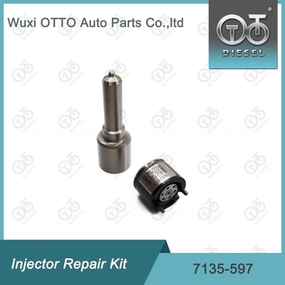 7135-597 Комплект по ремонту Delphi Injector Комплект для резинки и клапана