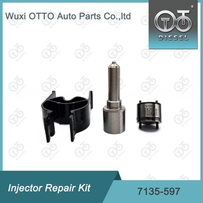 7135-597 Комплект по ремонту Delphi Injector Комплект для резинки и клапана