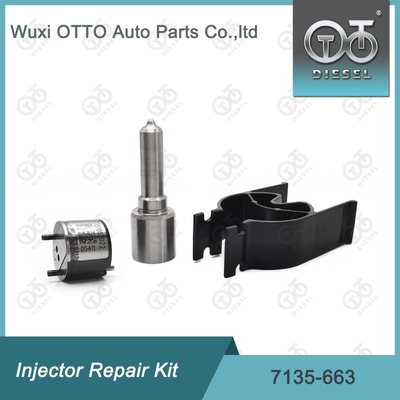 7135-663 Комплект по ремонту Delphi Injector Комплект для резки и клапана Комплект для резки и клапана