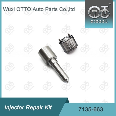 7135-663 Комплект по ремонту Delphi Injector Комплект для резки и клапана Комплект для резки и клапана