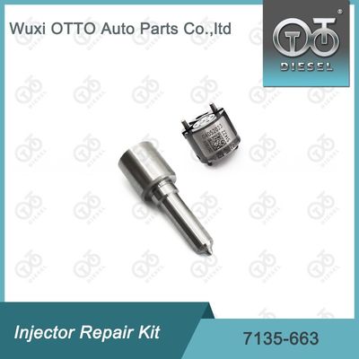 7135-663 Комплект по ремонту  Injector Комплект для резки и клапана Комплект для резки и клапана
