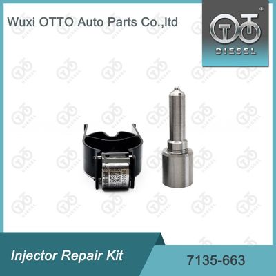 7135-663 Комплект по ремонту  Injector Комплект для резки и клапана Комплект для резки и клапана