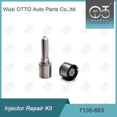 7135-663 Комплект по ремонту Delphi Injector Комплект для резки и клапана Комплект для резки и клапана
