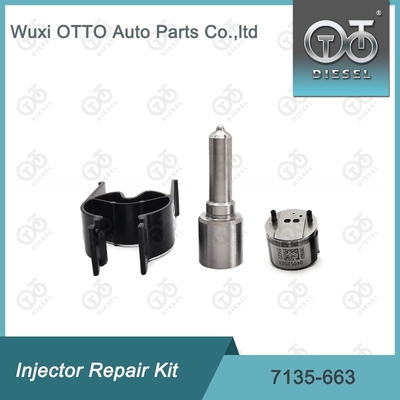 7135-663 Комплект по ремонту Delphi Injector Комплект для резки и клапана Комплект для резки и клапана
