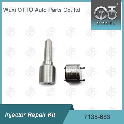 7135-663 Комплект по ремонту Delphi Injector Комплект для резки и клапана Комплект для резки и клапана