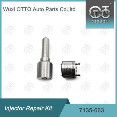 7135-663 Комплект по ремонту  Injector Комплект для резки и клапана Комплект для резки и клапана