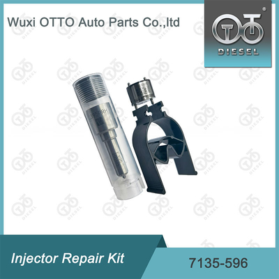 7135-596 Комплект по ремонту Delphi Injector Комплект для резинки и клапана Комплект для резинки и клапана