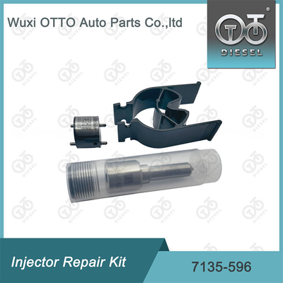 7135-596 Комплект по ремонту Delphi Injector Комплект для резинки и клапана Комплект для резинки и клапана