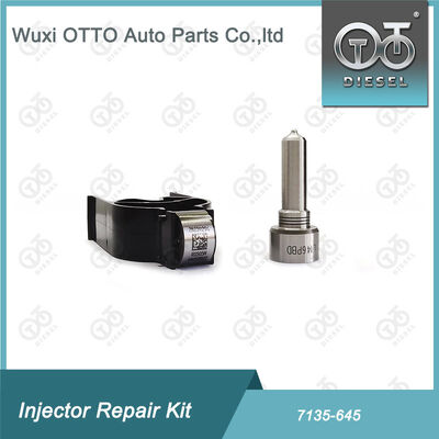 Набор для впрыскивателя Nozzle-Valve Kit Nozzle-CVA Kit 7135 - 645 Common Rail Injector Repair Kit для инжекторов R05201D