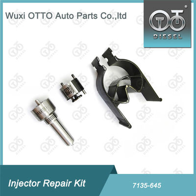 Набор для впрыскивателя Nozzle-Valve Kit Nozzle-CVA Kit 7135 - 645 Common Rail Injector Repair Kit для инжекторов R05201D