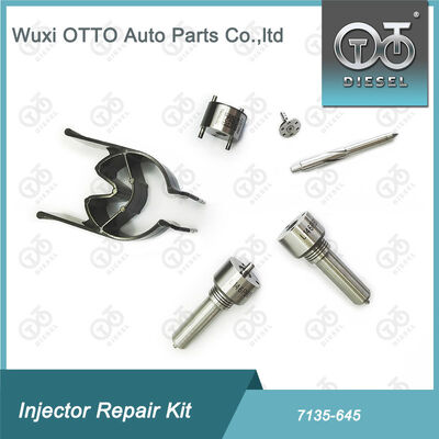 Набор для впрыскивателя Nozzle-Valve Kit Nozzle-CVA Kit 7135 - 645 Delphi Common Rail Injector Repair Kit для инжекторов R05201D